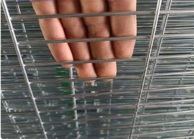Chine Cage de couche de rangée de la cage 3/4 de poulet de couche de fil d'acier de la longue durée Q195 à vendre