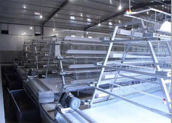 Quality Q235 A Type Layer Chicken Cage for sale