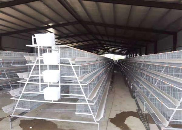 Quality Breeding Layer Chicken Cage Q235 Battery Cages For Laying Hens for sale