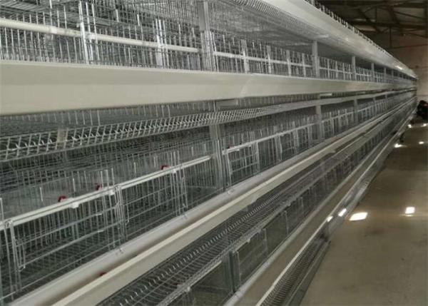 Quality Q235 A Type Layer Chicken Cage for sale