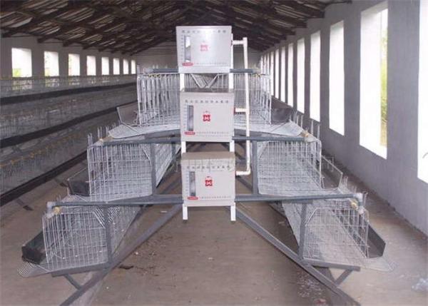 Quality Q235 A Type Layer Chicken Cage for sale