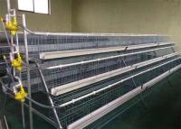 Quality Q235 A Type Layer Chicken Cage for sale