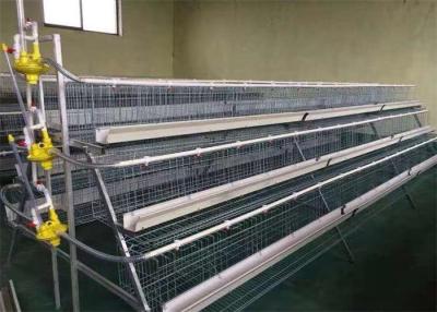 China Q235 A Type Layer Chicken Cage for sale