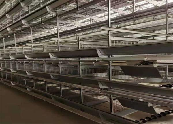 Quality Q235 Hot Dipped Galvanized H Type Layer Chicken Cage For Farm for sale