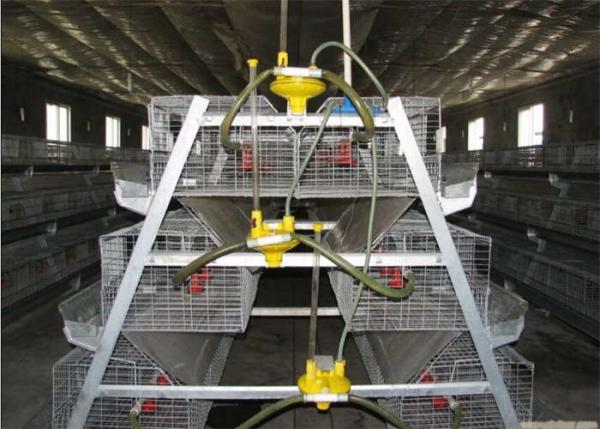 Quality Q235 Hot Dipped Galvanized H Type Layer Chicken Cage For Farm for sale