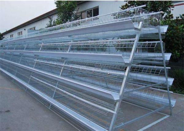 Quality Q235 Hot Dipped Galvanized H Type Layer Chicken Cage For Farm for sale