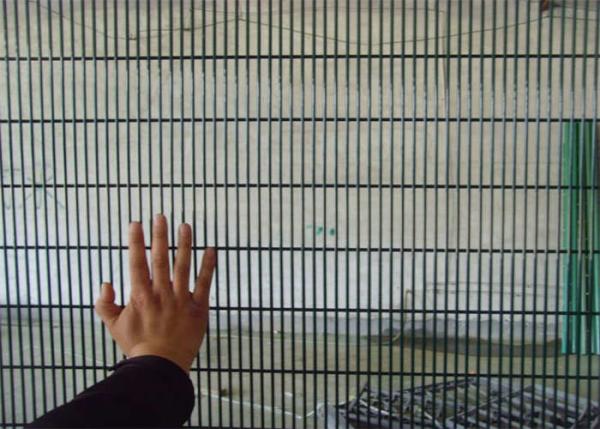 Quality Steel Welded Galvanized 358 Security Fence Prison Mesh for sale