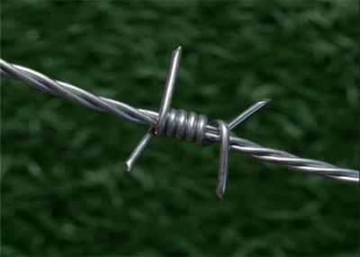 China Maquinilla de afeitar Mesh Fence For Protection del alambre de púas del filamento doble en venta