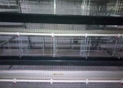 China jaula de acero galvanizada de la casa de pollo de la colocación de huevo de la anchura de 1500m m para los pollos de las capas en venta