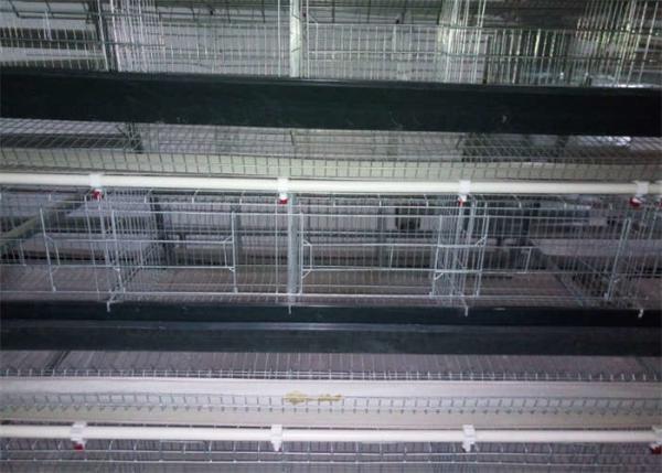 Quality 1500mm Width Egg Laying Chicken House Galvanized Steel Cage For Layers Chickens for sale