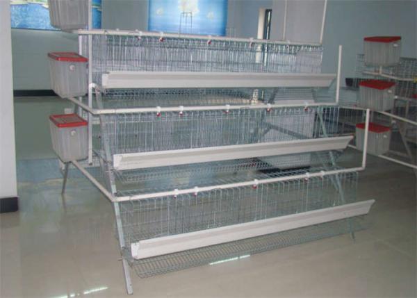 Quality 160 Birds Layer Chicken Coop Q235 Conventional Cages For Laying Hens for sale