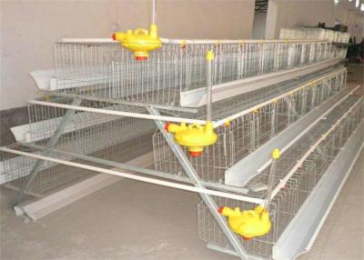 China Jaulas galvanizadas puertas de la capa del pollo de la grada 5 de la jaula de pájaros 3 de la capa Q235 en venta