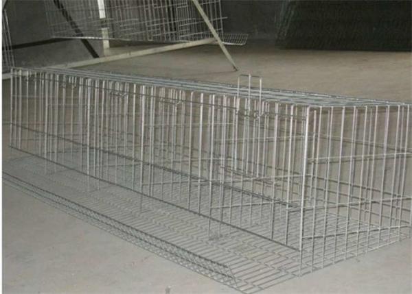 Quality 160 Birds Layer Chicken Coop Q235 Conventional Cages For Laying Hens for sale