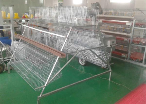 Quality 1500mm Width Egg Laying Chicken House Galvanized Steel Cage For Layers Chickens for sale