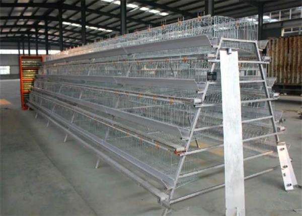 Quality 1500mm Width Egg Laying Chicken House Galvanized Steel Cage For Layers Chickens for sale