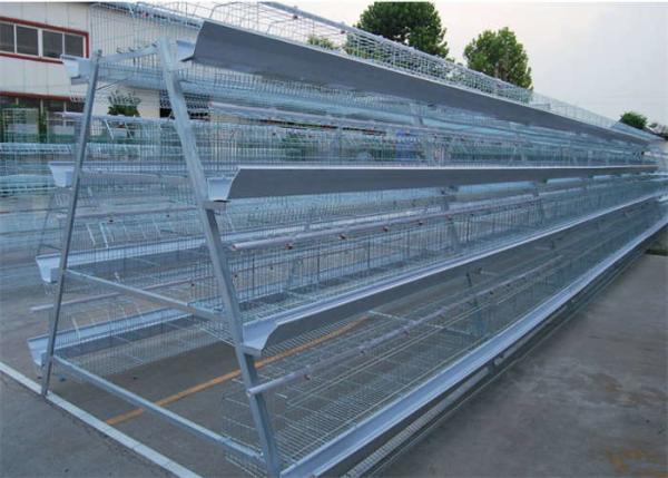 Quality Q235 Layer Bird Cage 3 Tier 5 Doors Galvanized Chicken Layer Cages for sale