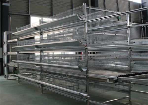 Quality 160 Birds Layer Chicken Coop Q235 Conventional Cages For Laying Hens for sale