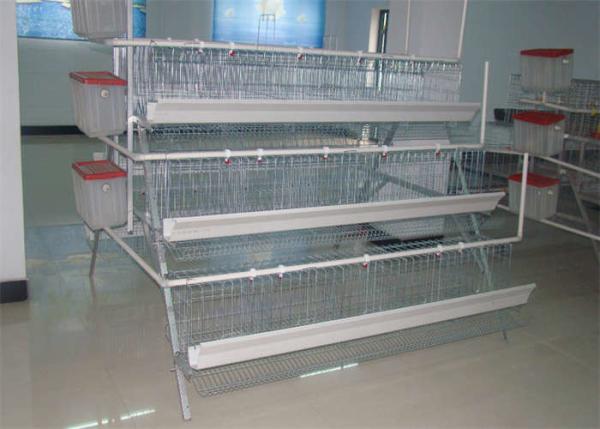 Quality Q235 Layer Bird Cage 3 Tier 5 Doors Galvanized Chicken Layer Cages for sale