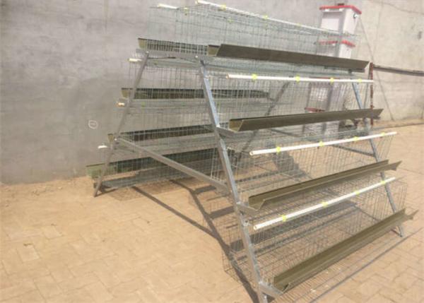 Quality Q235 Layer Bird Cage 3 Tier 5 Doors Galvanized Chicken Layer Cages for sale