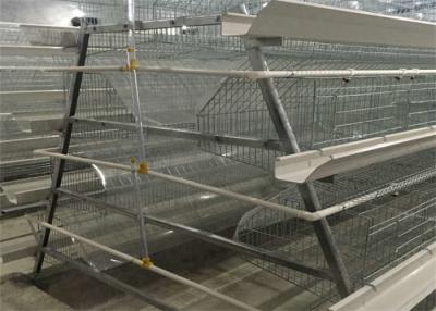China 4 Tier 5 Doors Layer Chicken Cage 2300mm Width Poultry Layer Cage for sale