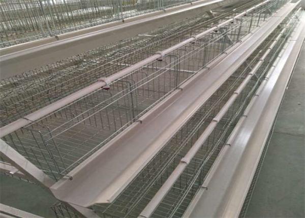 Quality 4 Tier 5 Doors Layer Chicken Cage 2300mm Width Poultry Layer Cage for sale