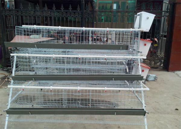 Quality 4 Tier 5 Doors Layer Chicken Cage 2300mm Width Poultry Layer Cage for sale