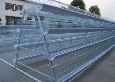 China 4 Tier Layer Cage For Layer Farming for sale