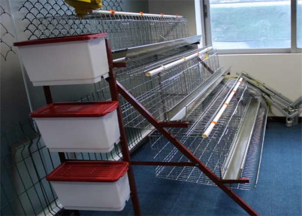 Quality Hot Dipped Galvanized Steel Welded H Type Battery Cages For Broilers for sale