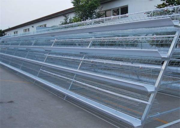 Quality ISO9001 Laminated Layer Chicken Cage For Hen for sale