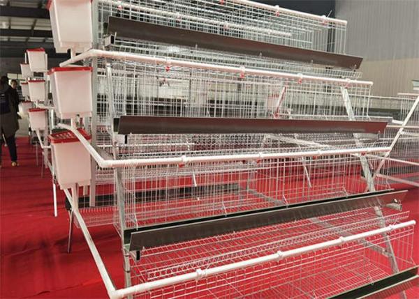 Quality ISO9001 Laminated Layer Chicken Cage For Hen for sale