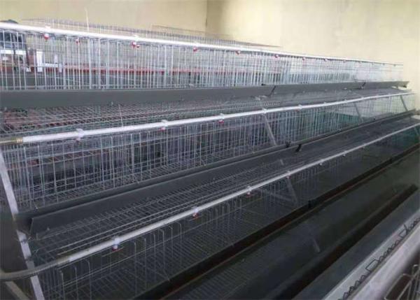 Quality Hot Dipped Galvanized Steel Welded H Type Battery Cages For Broilers for sale