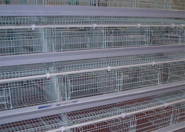 Quality Hot Dipped Galvanized Steel Welded H Type Battery Cages For Broilers for sale