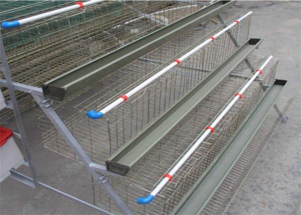 Quality ISO9001 Laminated Layer Chicken Cage For Hen for sale