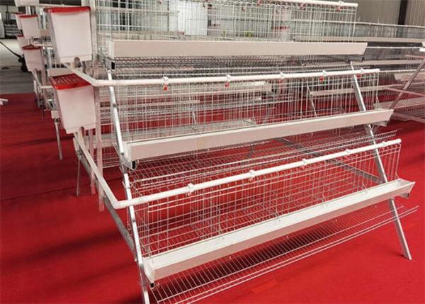 Quality Hot Dipped Galvanized Steel Welded H Type Battery Cages For Broilers for sale