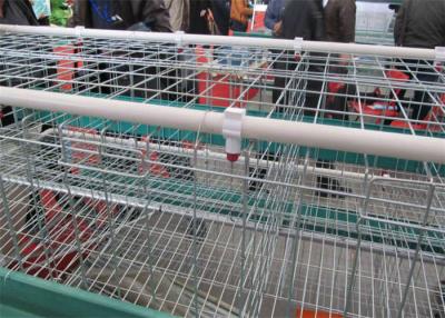 Chine Le type fait un pas de H la cage 490mpa de couche/la couche oeufs de poulet met en cage la largeur de 56cm à vendre