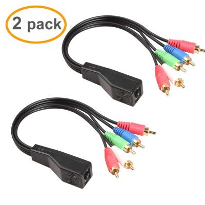 China RCA To RJ45 Custom Wire Assemblies With Stereo Audio Cat5 Cat6 Extender for sale