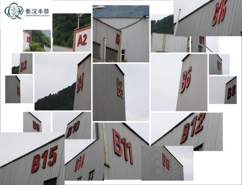 Verified China supplier - Shaanxi Qinhan Bencao Biotechnology Co., Ltd.
