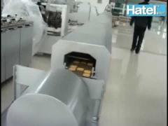 Biscuit making machine production line