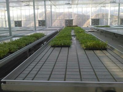 China Transparent Commercial Glass Greenhouse Good Light Transmission With Insulating Glass for sale