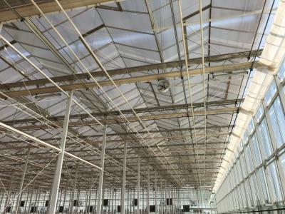 China Alta distancia hidropónica el 1.6m del material de hoja de la PC del invernadero de la planta de tomate de la producción en venta