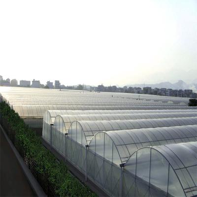 China Climate Adjustable Plastic Film Greenhouse Heat Resisting Anti Freezing Moisture Proof for sale