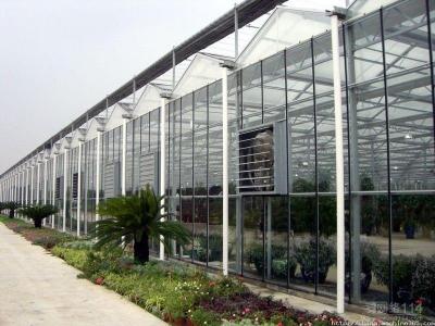 中国 健全な絶縁の商業ガラス温室のよい表示効果の美しい出現 販売のため
