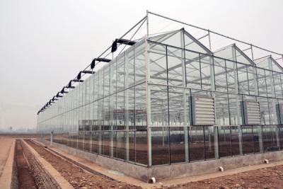 China Section 4m Commercial Glass Greenhouse Exquisite Beautiful Galvanized Steel Frame for sale