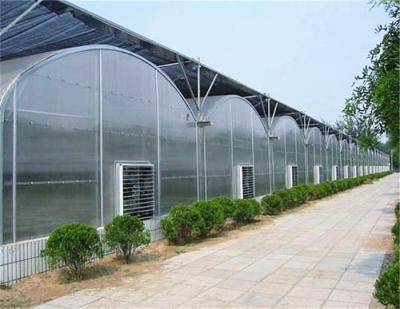 China Arched Roof Tomato Plant Greenhouse Span Width 9.6 / 10.8 / 12m Rainfall 140mm/H for sale