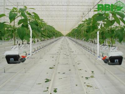 China Beautiful Agricultural Glass Greenhouse , Commercial Greenhouse Structures Wind Load 120KM/H for sale