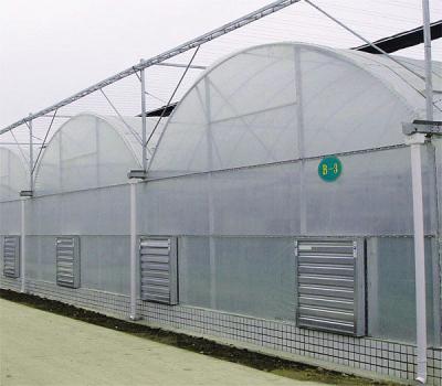 China Section 1 / 2m Polyethylene Film Greenhouse Lower Temperature Reduce Humidity Available for sale