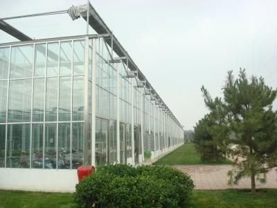 China Exquisite Aluminum Frame Glass Greenhouse Gutter Height 3.0m-6.0m Easy Assemble for sale