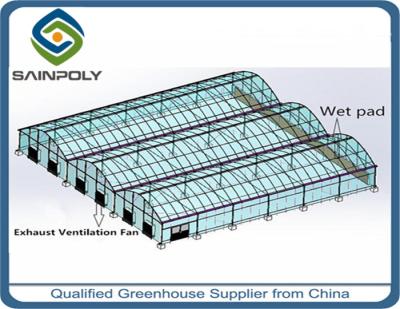 中国 経済的なゴシック様式アーチの温室、商業温室の構造によってカスタマイズされる設計 販売のため