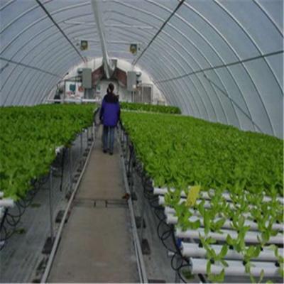 China Professional Intelligent Glass Greenhouse For Tomato / Pepper / Cucumber for sale
