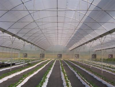 China Water Saving Commercial Hydroponic Greenhouse Easy Manage Without Regional Restrictions for sale